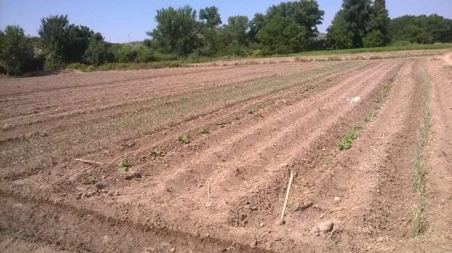 WhatsApp Image 2019-04-16 at 00.18.11