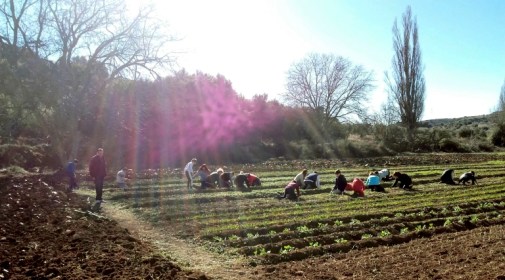 esquimos portada.jpg