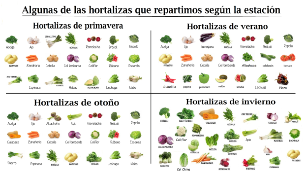 graficos hortalizas.png