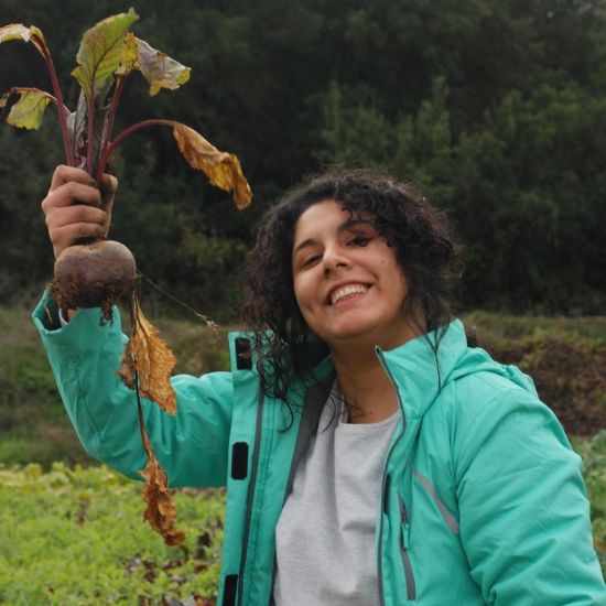 79852809_2647626625320475_3119748777913614336_o