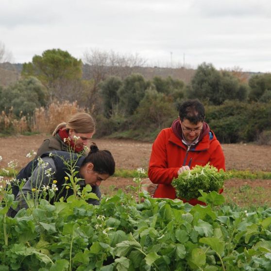 79917454_2647627015320436_6854701511595786240_o