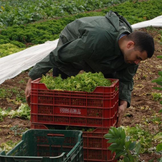 79922130_2647627105320427_8146146633600466944_o