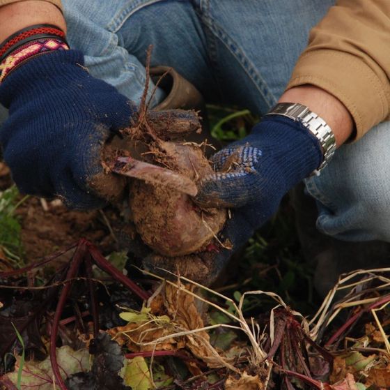 80345701_2647626951987109_8209727443959808000_o